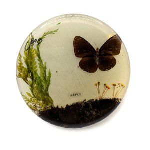 Vintage 70s Lucite Trivet butterfly  and flowers Hawaii 8 in